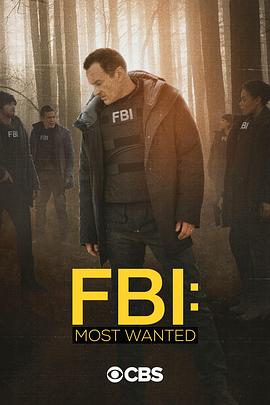《联邦调查局：通缉要犯第二季》