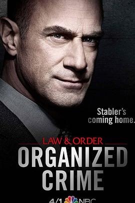 《法律与秩序：组织犯罪第一季》