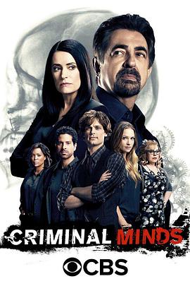 《犯罪心理第十二季》