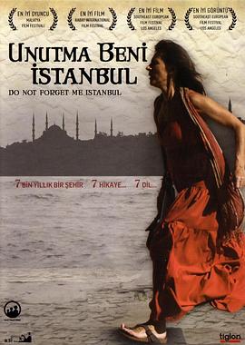 《伊斯坦布尔，请不要将我遗忘》