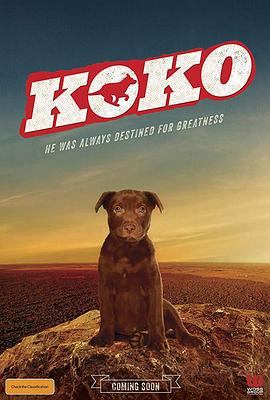 《Koko红犬历险记》