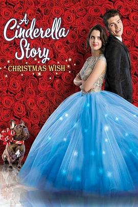 《灰姑娘的故事：圣诞愿望》
