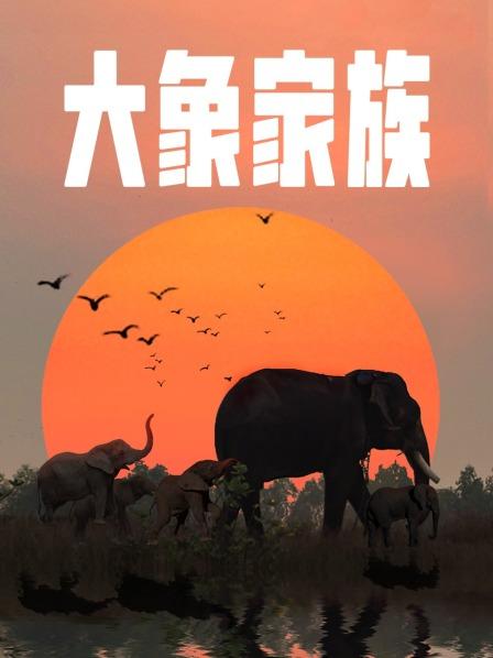 大象家族海报