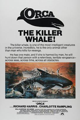 杀人鲸海报