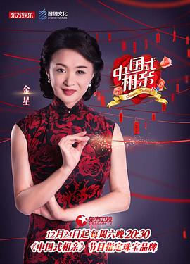 中国式相亲第一季海报