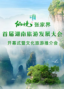 首届湖南旅游发展大会开幕式暨文化旅游推介会海报