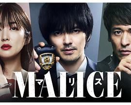 2018日韩剧《MALICE》迅雷下载_中文完整版_百度云网盘720P|1080P资源