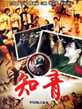 中国知青部落海报