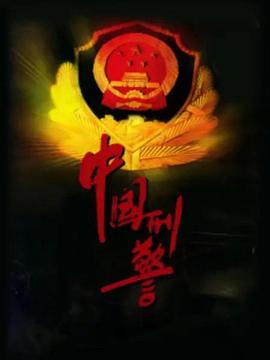 中国刑警2001